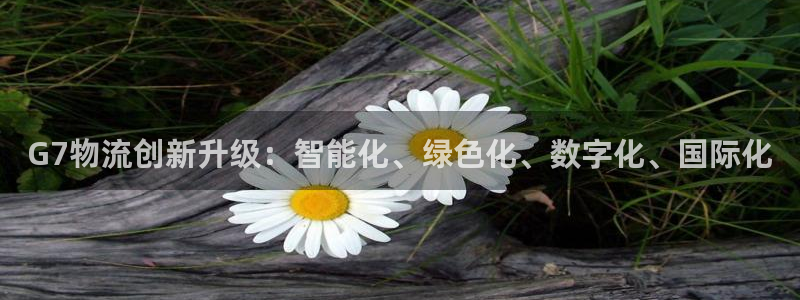 超凡国际官网多少：G7物流创新升级：