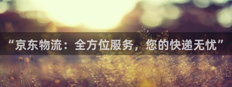 超凡国际游戏官网入口：“京东物流：全