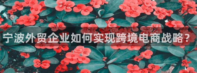 超凡国际官网入口pc28