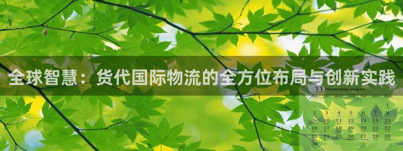 超凡国际大舞台：全球智慧：货代国际物