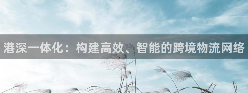 超凡国际ccm官网版：港深一体化：构