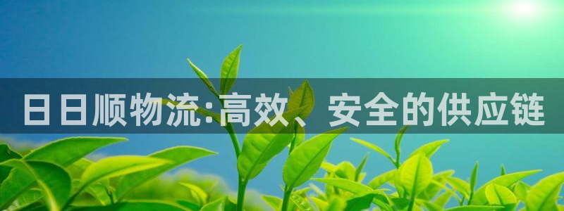 超凡国际官方版正版：日日顺物流:高效