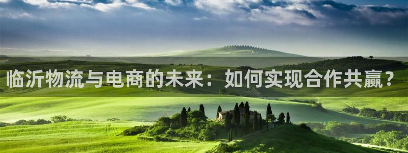 超凡国际注册链接入口：临沂物流与电商