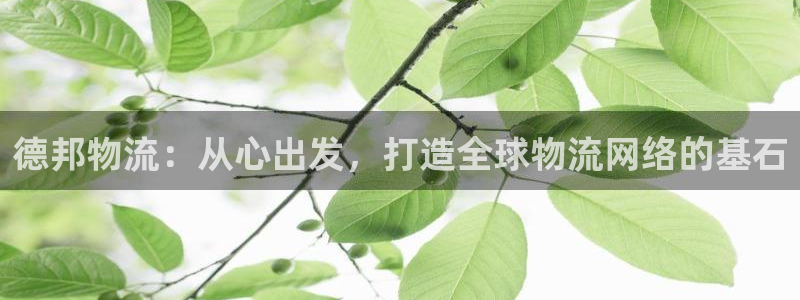 超凡国际网站平台是多少：德邦物流：从心出发，打造全球物流网络