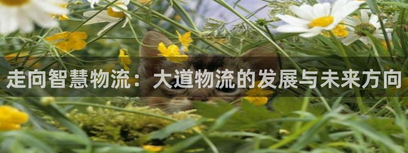 自行车超凡国际是什么意思：走向智慧物