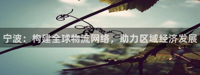 超凡国际充值为什么充不了：宁波：构建