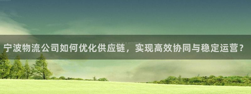 超凡国际游戏：宁波物流公司如何优化供