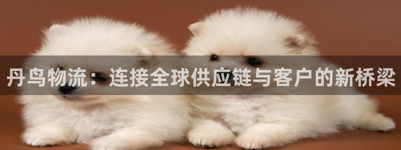 超凡国际不给提现：丹鸟物流：连接全球供应链与客户的新桥梁