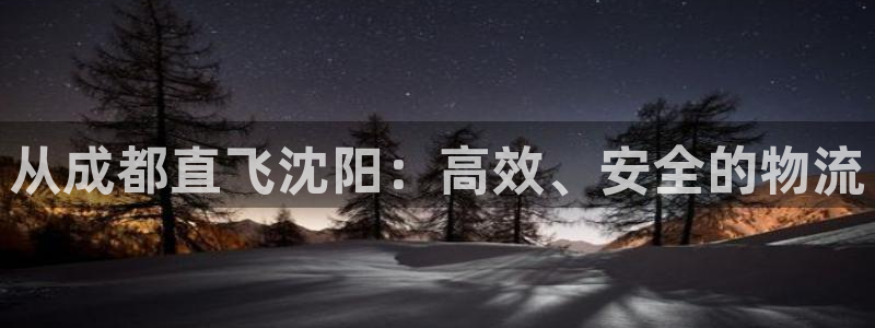 超凡国际连接：从成都直飞沈阳：高效、