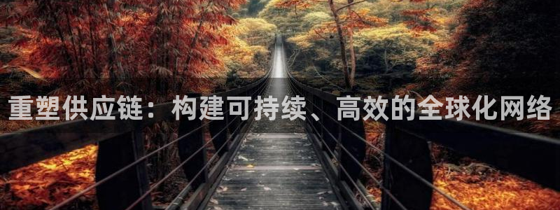 超凡国际是什么软件：重塑供应链：构建可持续、高效的全球化网络