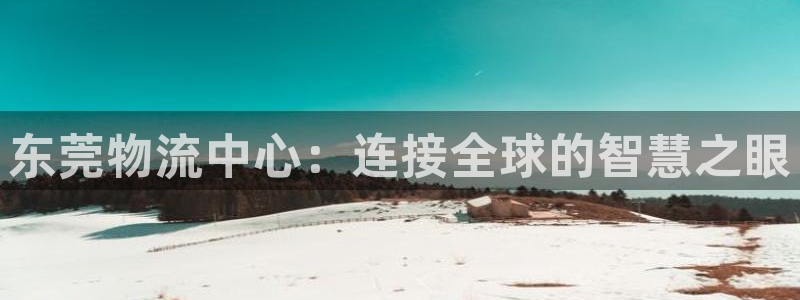 超凡国际加拿大预测：东莞物流中心：连