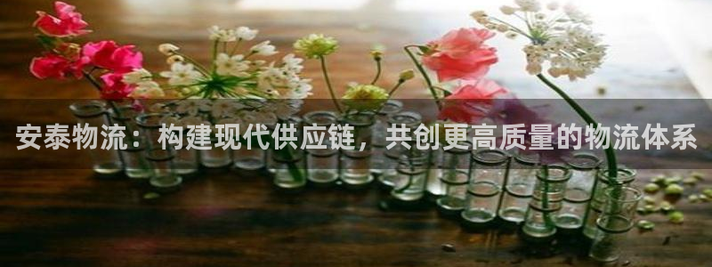 超凡国际注册：安泰物流：构建现代供应