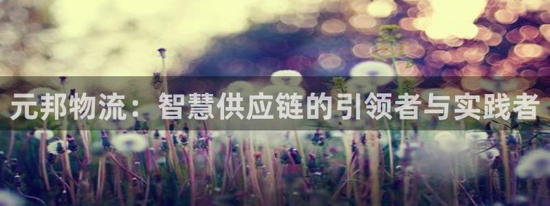 超凡国际v6能卖多少：元邦物流：智慧