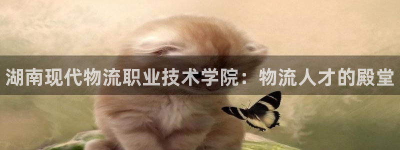 超凡国际官网入口pc是诈骗吗?：湖南