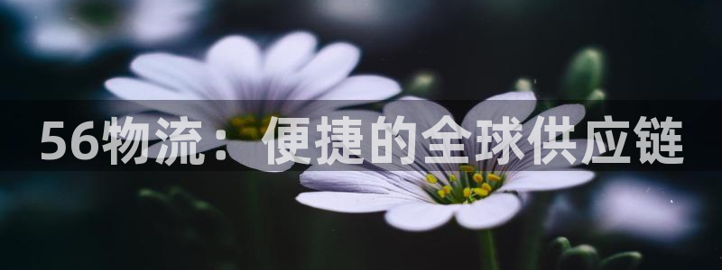 超凡国际连输10天：56物流：便捷的