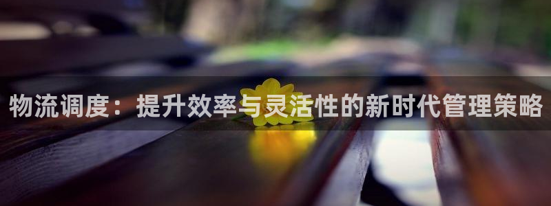 超凡国际赌博软件正规吗：物流调度：提