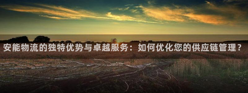 超凡国际娱乐官网网页下载：安能物流的