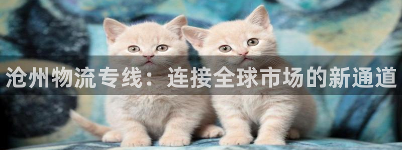 超凡国际如何看计划：沧州物流专线：连