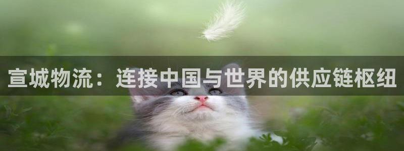 超凡国际下载链接是多少