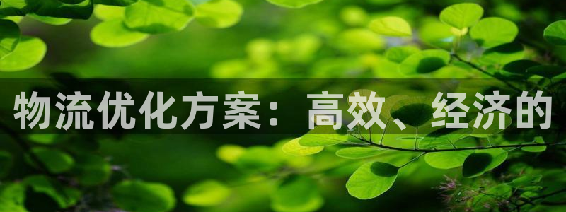 超凡国际cn:物流优化方案:高效、经