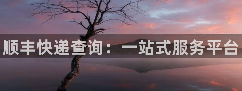 超凡国际充值不处理：顺丰快递查询：一