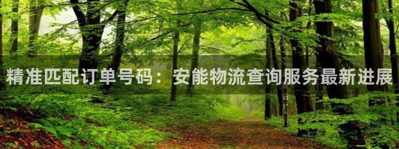 超凡国际返水怎么算的：精准匹配订单号