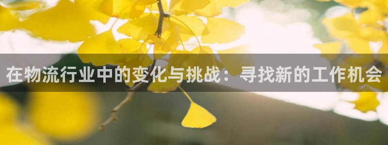 超凡国际v6能卖多少：在物流行业中的