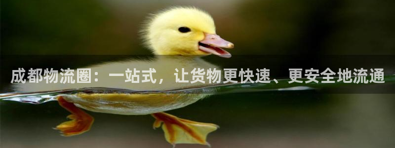 超凡国际v6能卖多少：成都物流圈：一