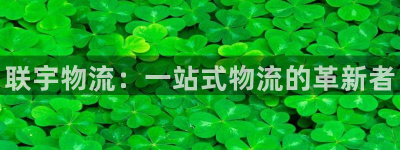 超凡国际APP是干什么的：联宇物流：