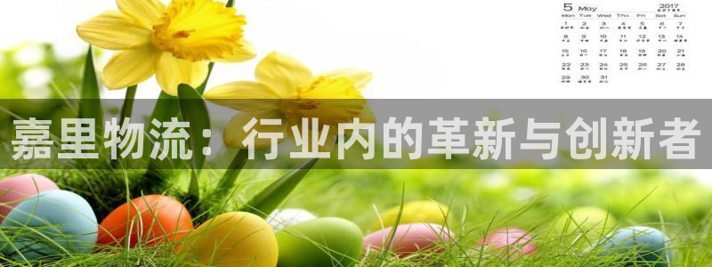 超凡国际如何看012路计划：嘉里物流