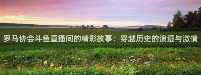 山猫体育在线直播：罗马协会斗鱼直播间的精彩故事：穿越历史的浪漫与激情