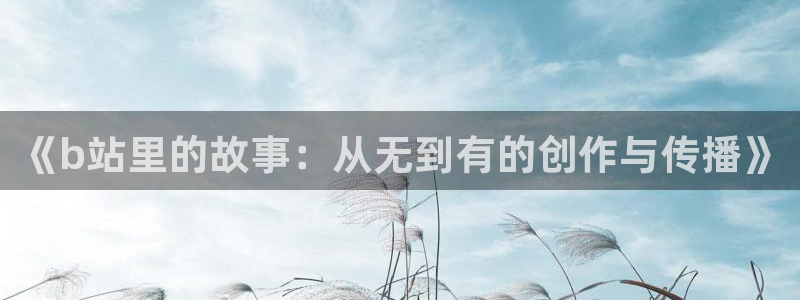 山猫免费体育直播：《b站里的故事：从无到有的创作与传播》
