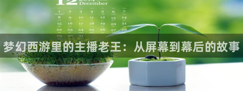 山猫足球直播免费观看：梦幻西游里的主播老王：从屏幕到幕后的故事