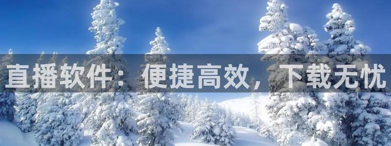 山猫nba直播免费直播：直播软件：便捷高效，下载无忧