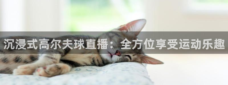 山猫在线观看nba直播比赛：沉浸式高尔夫球直播：全方位享受运动乐趣