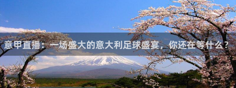 山猫直播足球在线直播：意甲直播：一场盛大的意大利足球盛宴，你还在等什么？