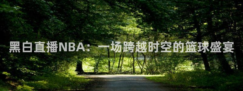 山猫体育直播足球：黑白直播NBA：一场跨越时空的篮球盛宴