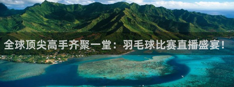 山猫直播体育赛事：全球顶尖高手齐聚一堂：羽毛球比赛直播盛宴！