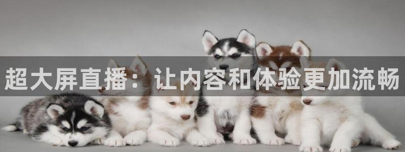 山猫nba免费直播：超大屏直播：让内容和体验更加流畅